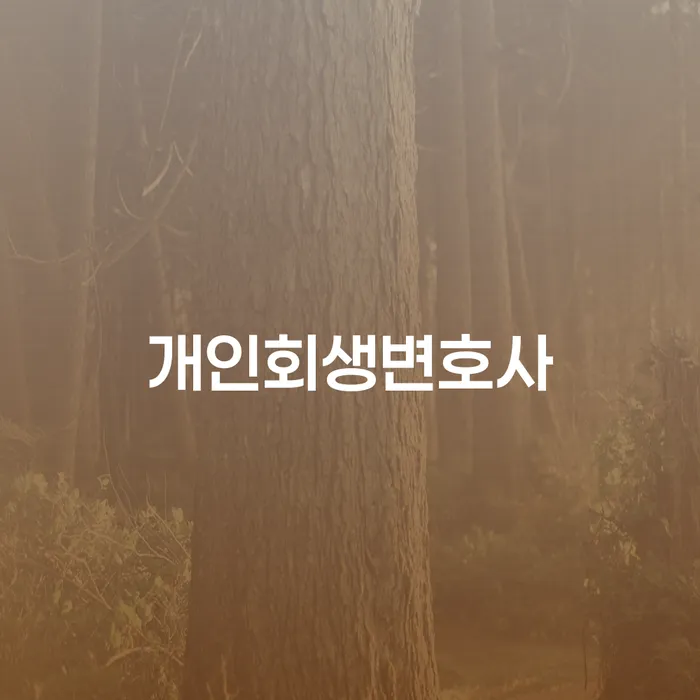 10년대출 연체 시 대출 받은 돈채무조정 잘하는 변호사