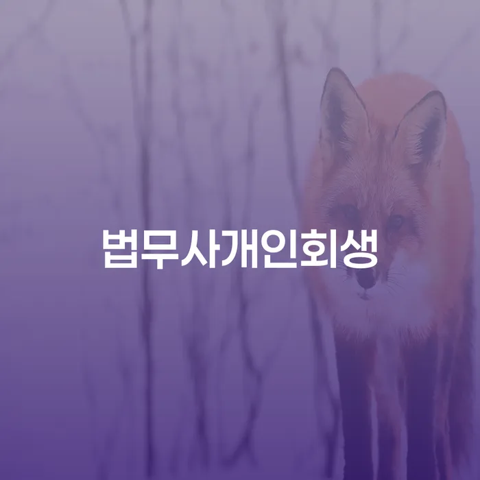 개인신용회복제도 개인회생으로 방법 상담을통해