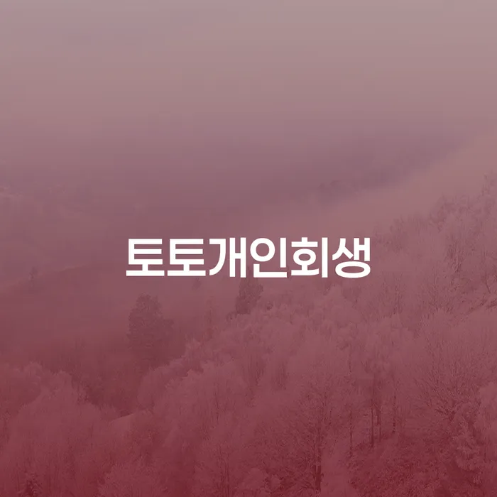 회생절차 개인회생으로 해결방법 대해서