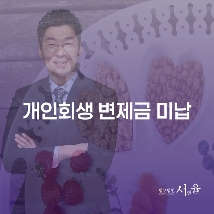파산신청 채무조정제도을 이용하여 잘 하는 사무소