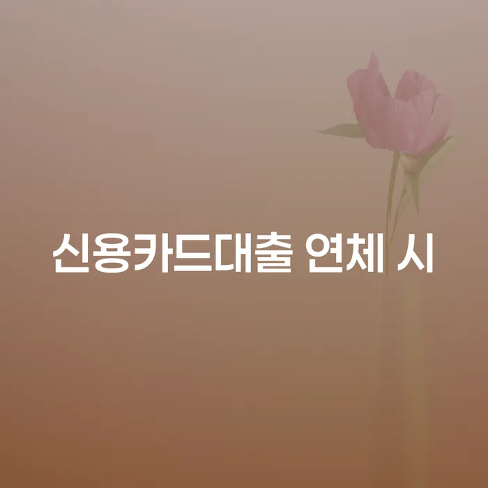 개인부채 카드빚 연체 추전하는 사무소