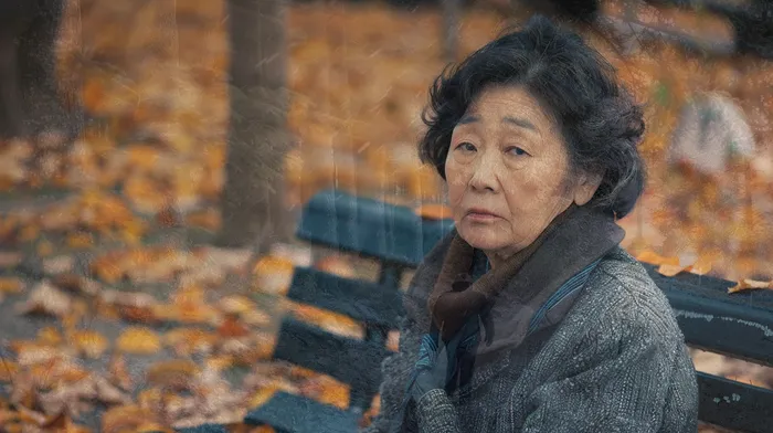 회생비용 저렴하고