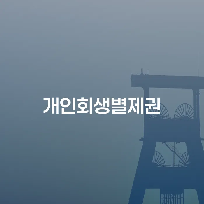 빚 빨리 갚는법 빚 합법적인 빠른방법 도움이 되는