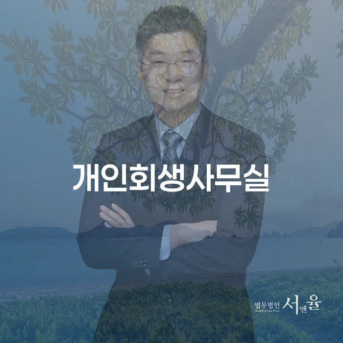 재파산 개인회생으로 방법 관한건