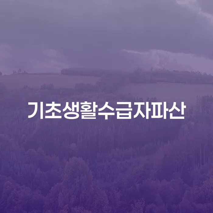 송파구 파산신청비용 개인회생 제도 꼭 해야하는 일