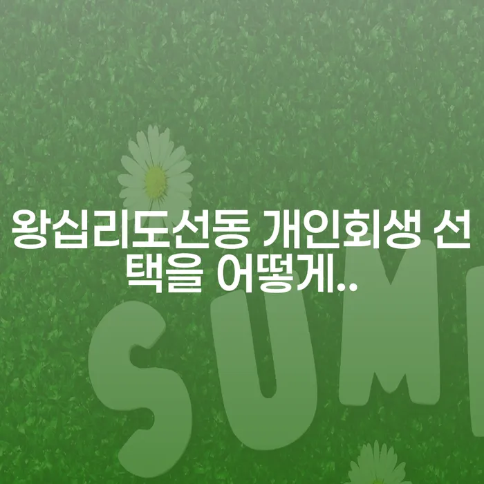 왕십리도선동 개인회생 선택을 어떻게..