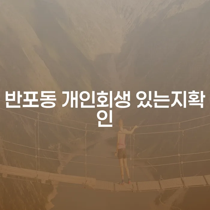 반포동 개인회생 있는지확인
