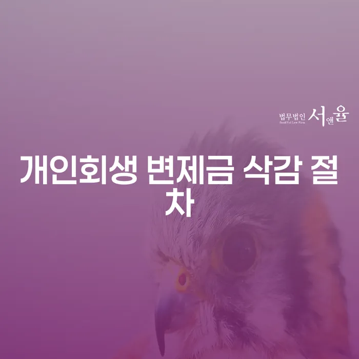 개인회생 변제금 삭감 절차, 얼마나 알고 계신가요?