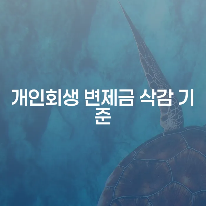 개인회생 변제금 삭감 기준, 어떻게 이해하고 준비해야 할까요?