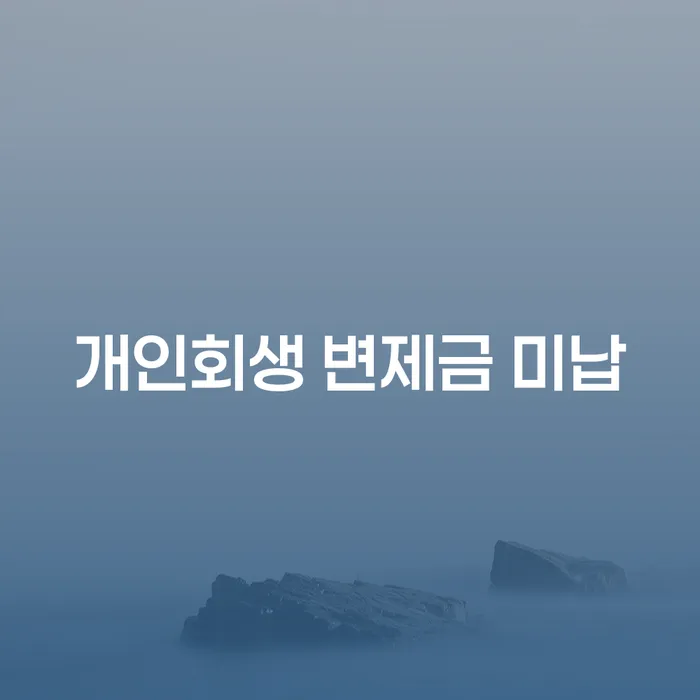 개인회생 변제금 미납, 어떻게 해결할 수 있을까요?