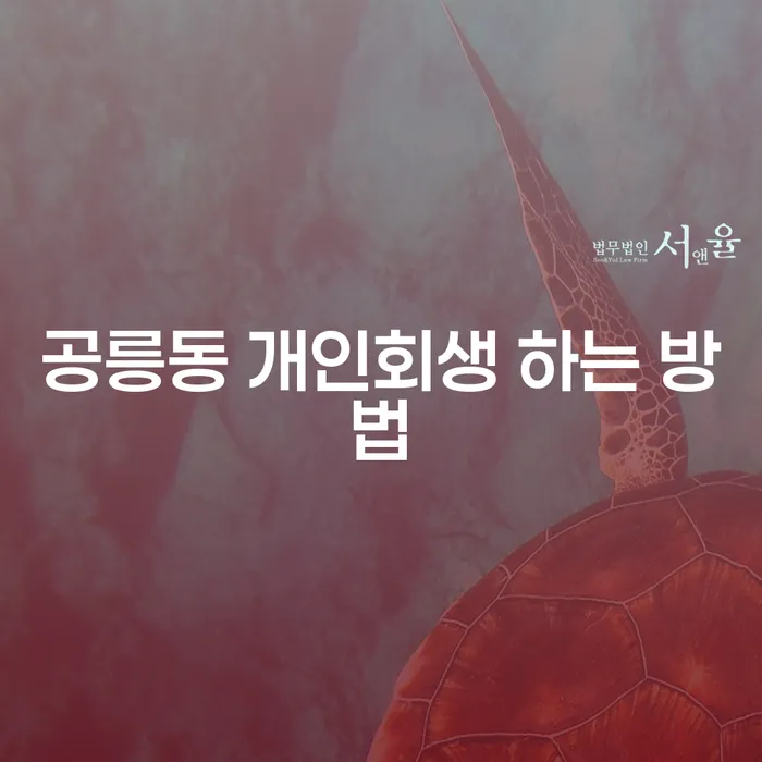 공릉동 개인회생 어떻게 시작해야 할까요?