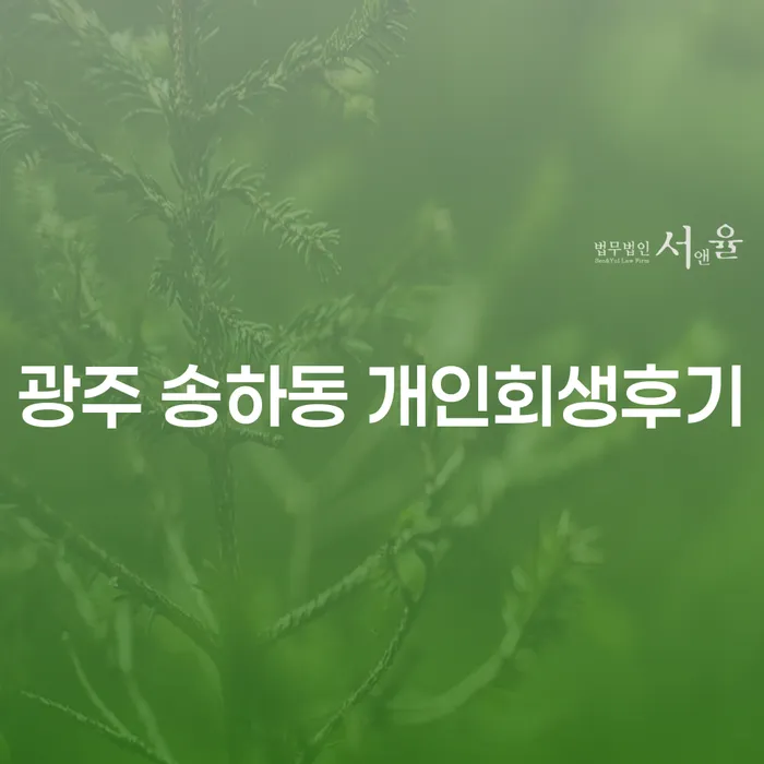 개인회생과 파산: 광주 송하동 사례를 통해 알아보세요