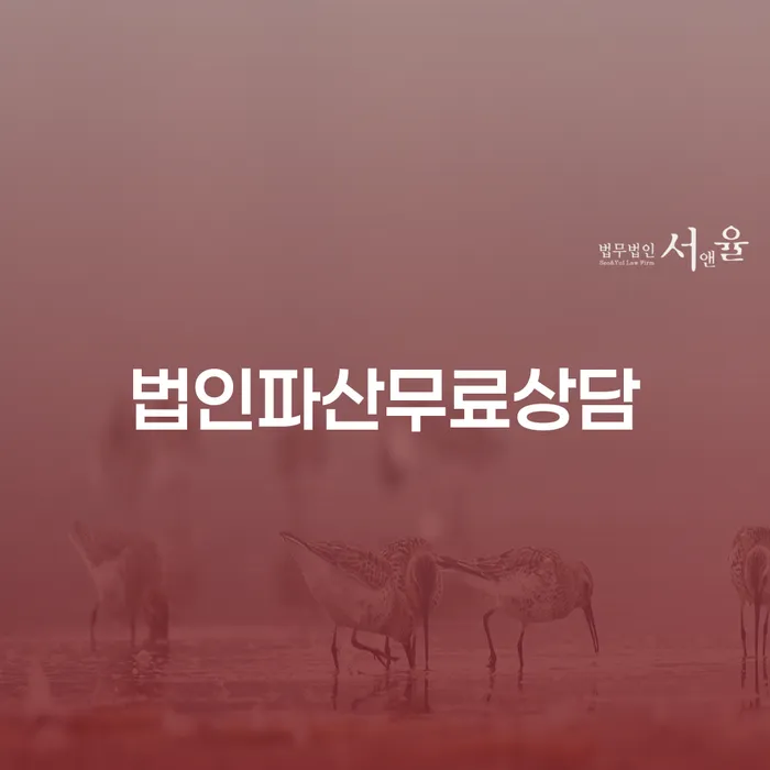 법인파산과 개인회생, 무엇이 더 적합할까요?